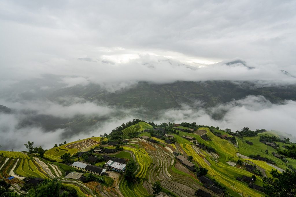 Traditional Chinese rice paddy fields terraced into a hillside